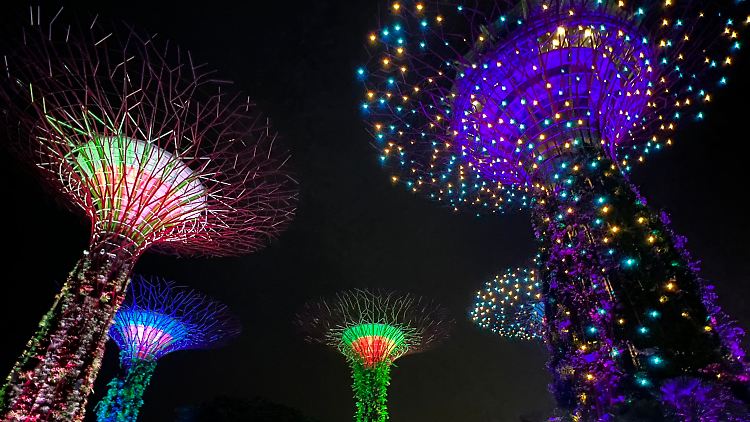 Futuristische Metallbäume: An den Supertrees in den "Gardens by the Bay" wachsen mehr als 160.000 Pflanzen.