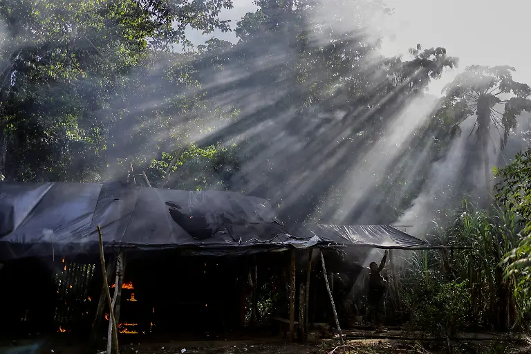 IBAMA-Forces-brennen-Camp-nieder