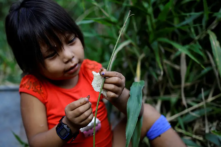 2024-01-18T100947Z-873225619-RC27F5A0LOPD-RTRMADP-3-BRAZIL-ENVIRONMENT-YANOMAMI
