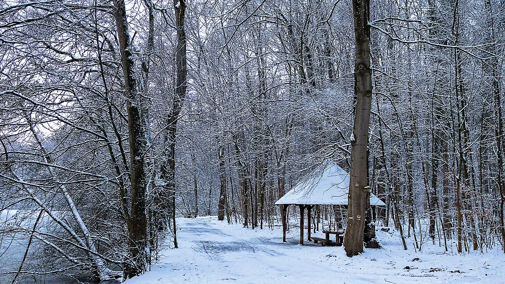 Blick-auf-einen-Holzpavillon-beim-Jacobiweiher-im-Frankfurter-Stadtwald