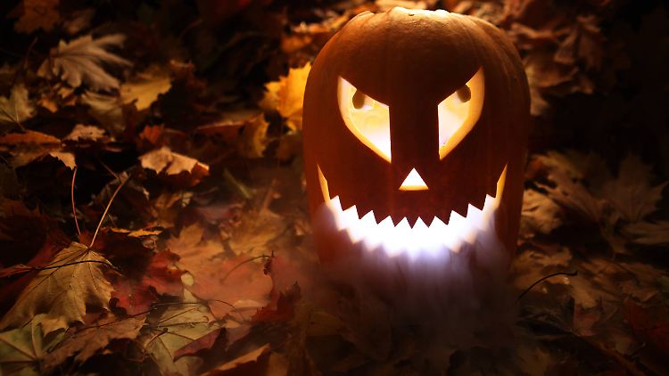 Vor allem der Fratze ziehende Kürbis ist ein populäres Dekorationsmotiv zu Halloween.