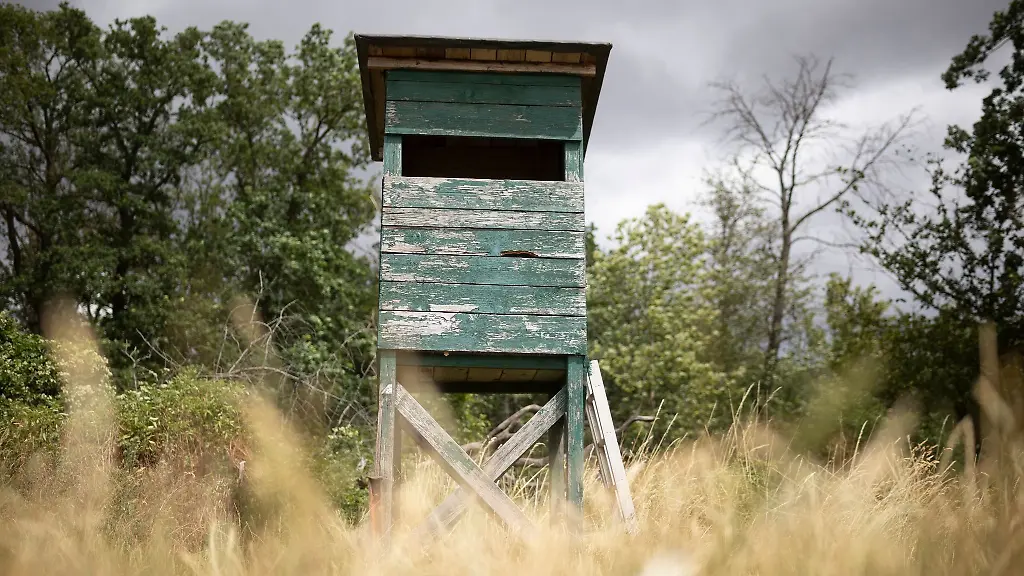 Ein-Hochsitz-steht-am-Waldrand