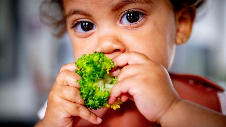 Pflanzliche Kost ist gesund - aber vor einer rein veganen Ernährung von Säuglingen und Kleinkindern raten Mediziner ab.