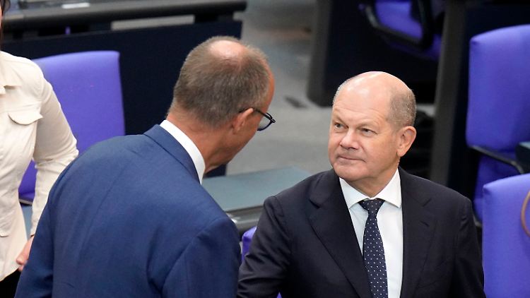 Bundeskanzler Scholz und CDU-Chef Merz belegen die Plätze neun und 13 im aktuellen Forsa-Politiker-Ranking.