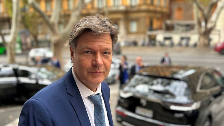 Habeck kritisiert muslimische Verbände: "Zu wenige" hätten sich von der Hamas distanziert.