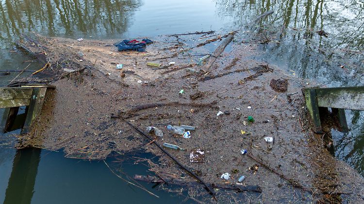 Nahezu in allen Gewässern haben Forschende Plastikmüll nachgewiesen.