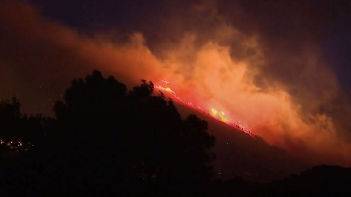waldbrand.JPG