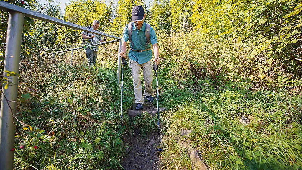 Die-Stiftung-Warentest-hat-Falt-und-Teleskopstoecke-unter-die-Lupe-genommen-Acht-der-zwoelf-getesteten-Trekkingstoecke-schnitten-im-Test-positiv-ab