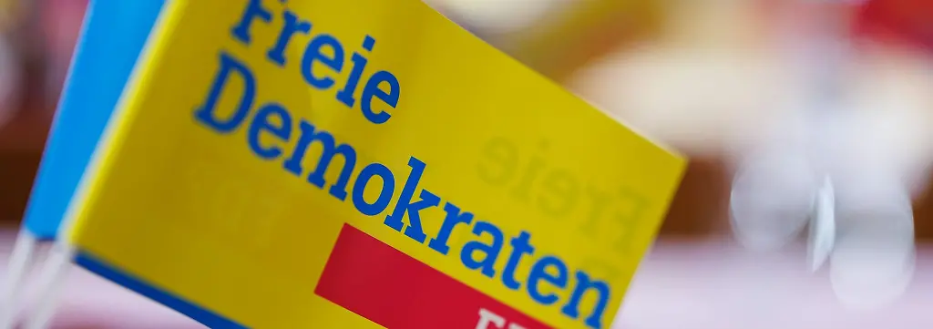 Bild zum Thema FDP