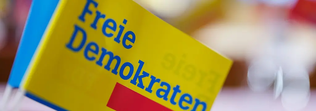 Bild zum Thema FDP