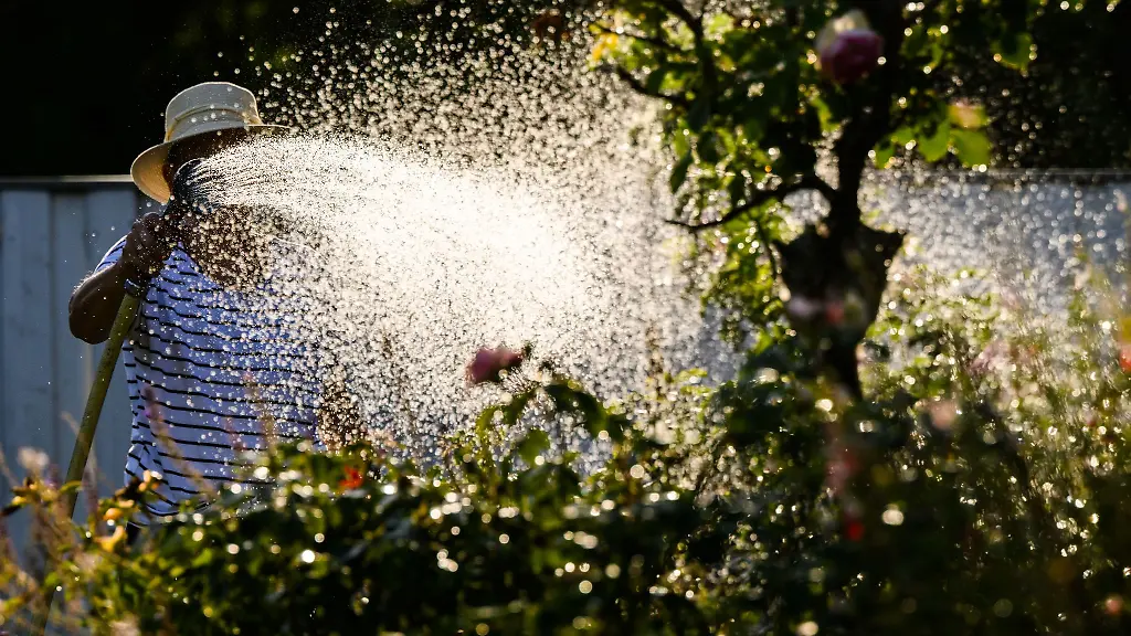 Eine-Frau-giesst-mit-Wasser-aus-einer-Grundwasserpumpe-ein-Blumenbeet