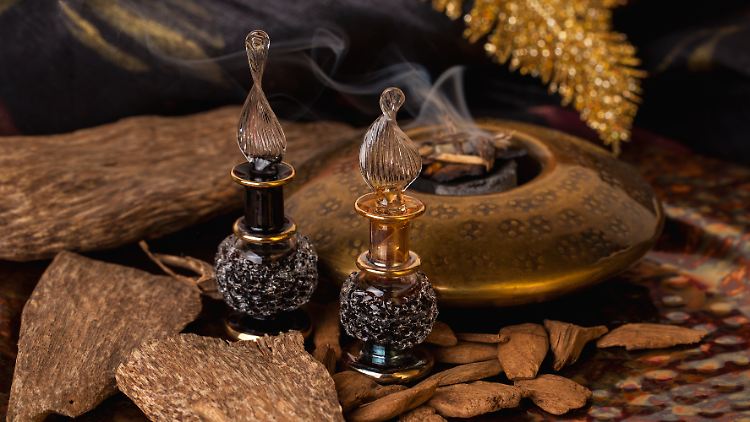 Die Parfums mit Oud haben holzige und harzige Anklänge, die toll auf der Haut vieler Männer riechen.