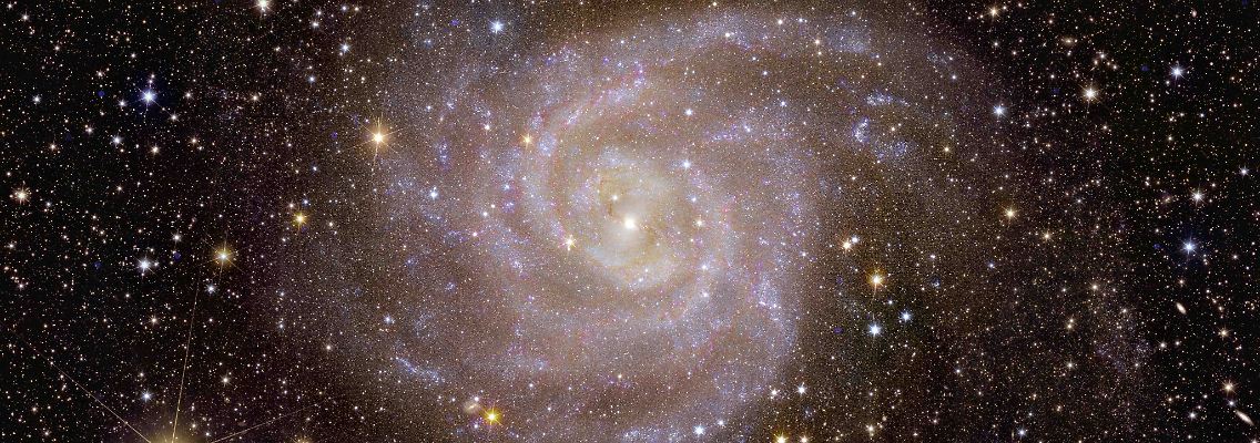 Euclid_s_view_of_spiral_galaxy_IC_342.jpg