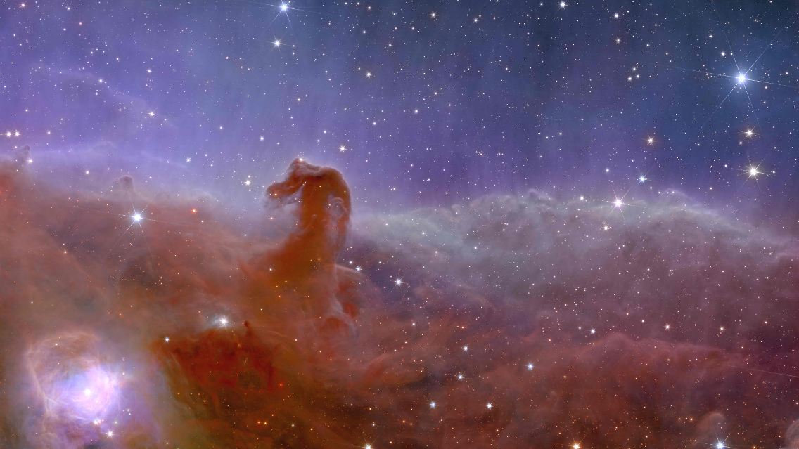 "Euklid" zeigt auf diesem Bild eine spektakuläre Panorama- und Detailaufnahme des Pferdekopfnebels, auch bekannt als Barnard 33 und Teil des Sternbilds Orion.