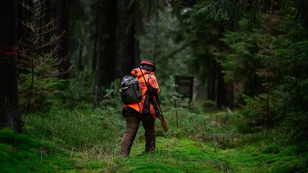 Eine-Jaegerin-geht-durch-den-Wald-zu-einem-Hochsitz