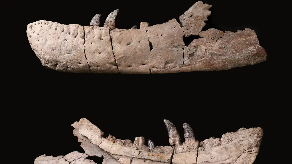 ACHTUNG-Frei-nur-zur-Verwendung-im-Zusammenhang-mit-der-Berichterstattung-ueber-die-Studie