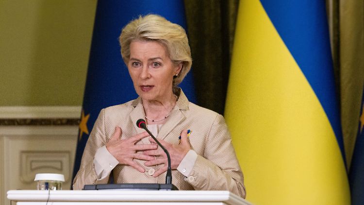 Im EU-Haushalt sind Milliarden Euro für die Unterstützung der Ukraine festgesetzt.