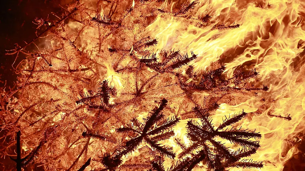 Ein-Weihnachtsbaum-brennt-zum-Knutfest-in-der-Gemeinde-Stapelburg