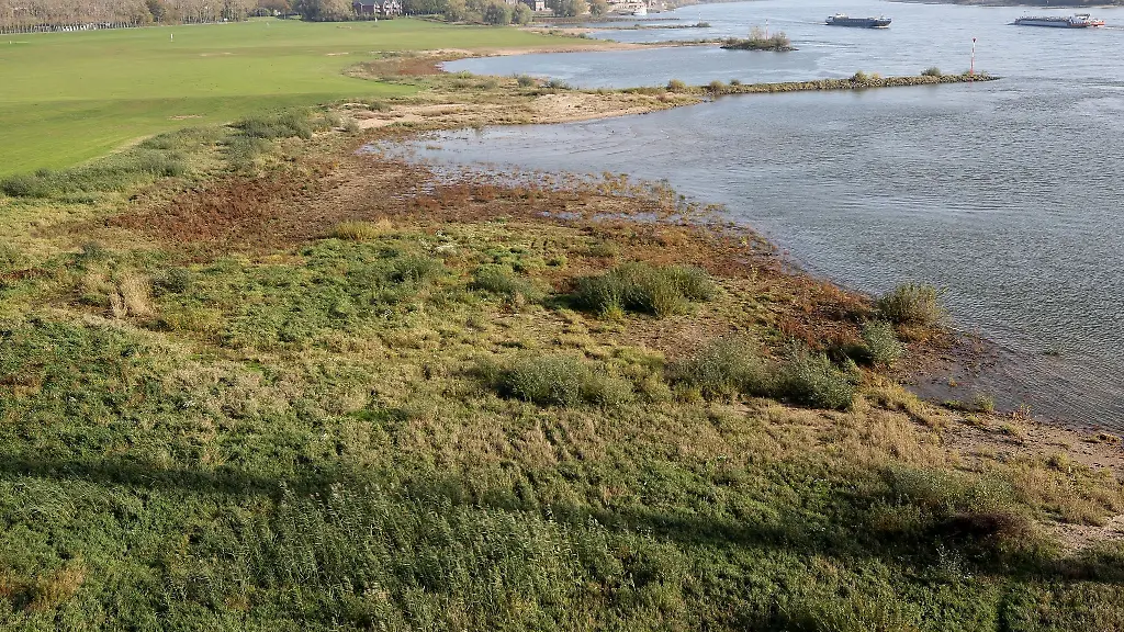 Das-Hinterland-des-Rheins-an-der-Reeser-Rheinbruecke-ist-nur-mit-den-veralterten-Deichen-gesichert