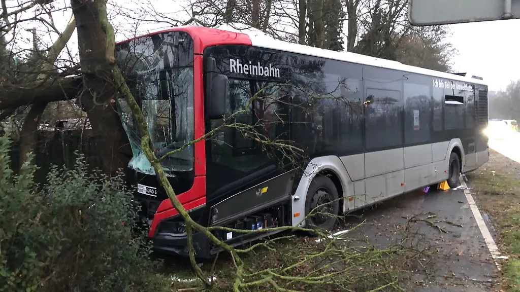 Ein-Bus-prallt-frontal-gegen-einen-Baum-in-Ratingen