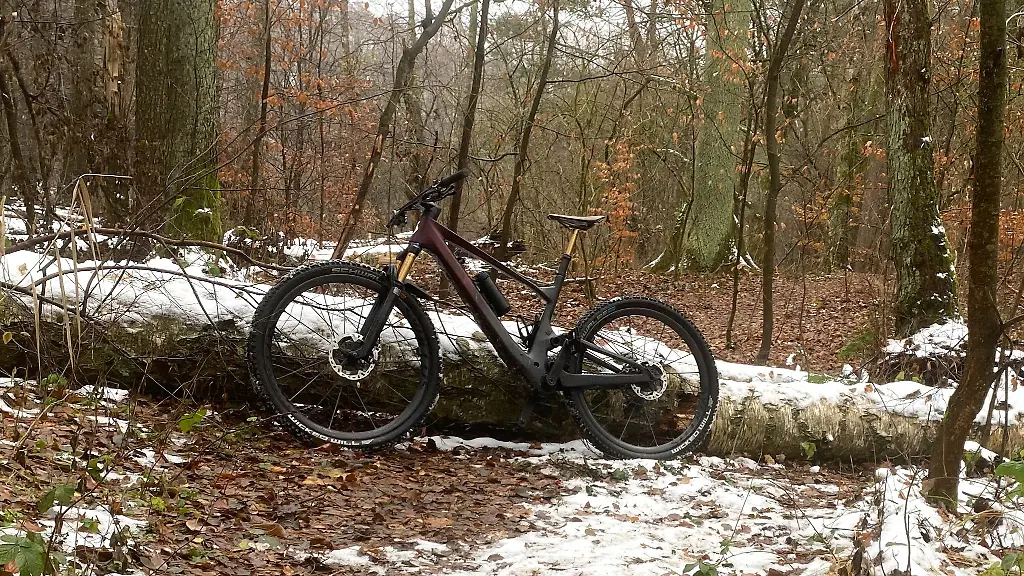 Ein-Mountainbike-lehnt-an-einem-Baumstamm