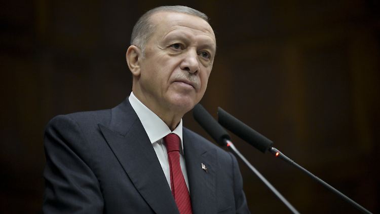 Der türkische Präsident Erdogan reist am Freitag nach Deutschland - in seiner Heimat sitzen auch zahlreiche deutsche Staatsangehörige fest. 