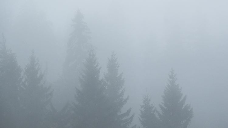 Auf freien Gipfeln wie Feldberg, Belchen oder Herzogenhorn werden Orkanböen mit bis zu 120 km/h erwartet.