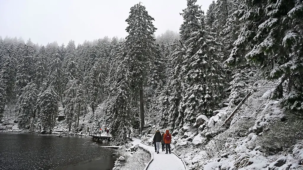 Am-Mummelsee-im-Schwarzwald-sind-Baeume-und-Wege-mit-Neuschnee-bedeckt