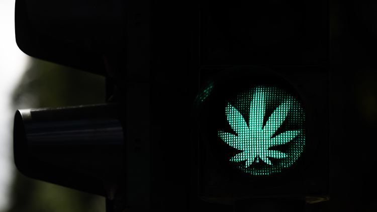 Die Ampel für Cannabis-Freigabe steht zwar auf Grün, doch es braucht noch etwas Zeit.