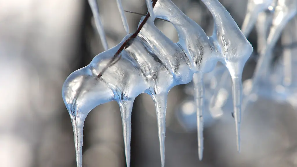 Eisgebilde-zeigen-sich-an-den-Straeuchern-am-Ufe