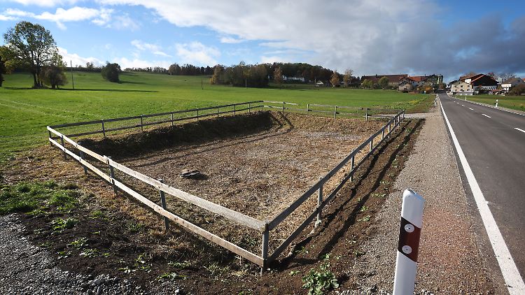 Bayern, Eggenthal: die Fläche einer abgemähten Pflanzenkläranlage vor dem Ortsteil Bayersried.