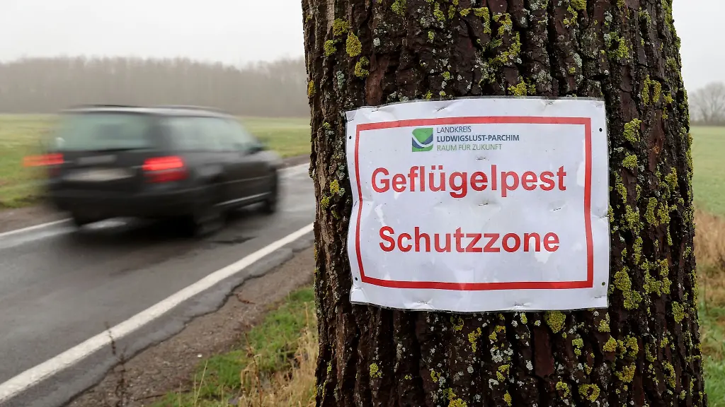 In-der-Naehe-eines-Putenmastbetriebes-in-der-Gemeinde-Lewitzrand-warnt-ein-Aushang-des-Landkreises-Gefluegelpest-Schutzzone