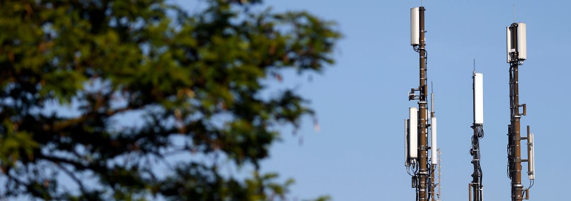 409025029.jpg