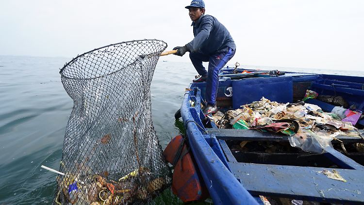Die weltweite Plastikproduktion hat sich in den letzten 20 Jahren verdoppelt. Immer öfter landet Plastik in den Weltmeeren.