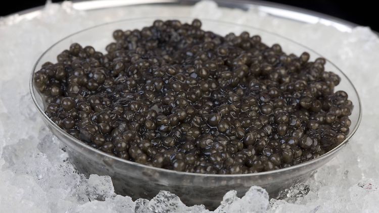 Kaviar vom Stör ist eine teure Delikatesse, die jedoch auf Kosten der Fische geht.