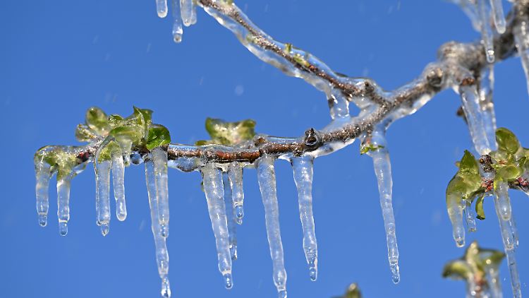 In einigen Landesteilen könnte die Temperatur zweistellig unter Null fallen.