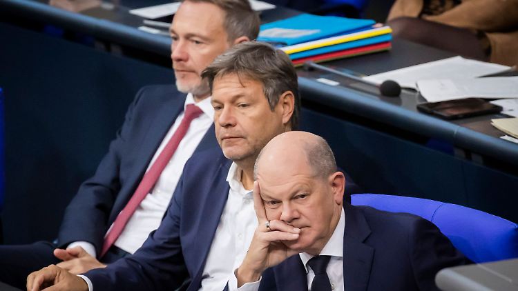Soll die FDP noch mit der SPD und den Grünen regieren? Eine Initiative will die Mitglieder der Liberalen befragen lassen.