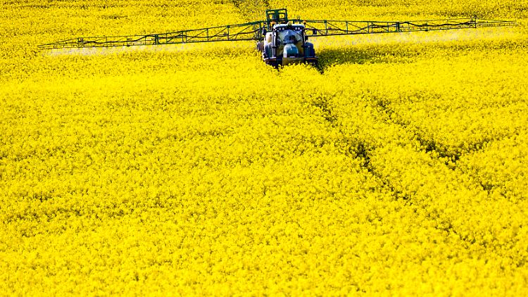 Vor allem bei Landwirten sorgte das Aus der Regelung für Jubel.