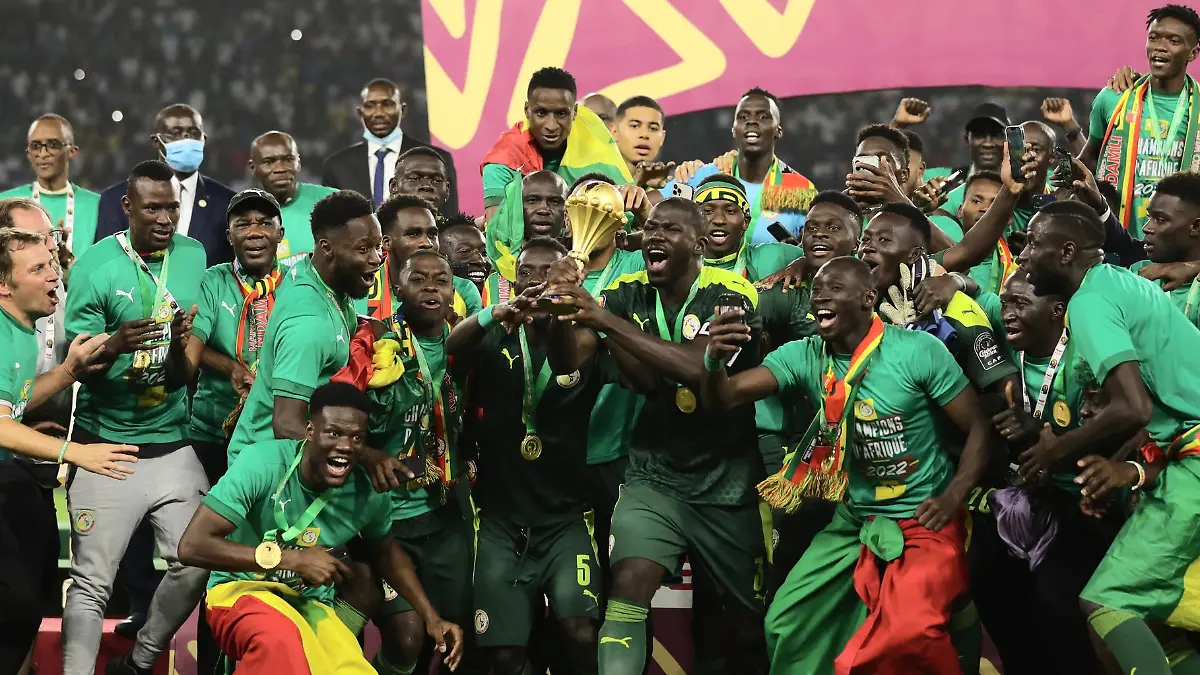 In-diesem-Jahr-findet-der-Afrika-Cup-in-der-Elfenbeinkueste-statt