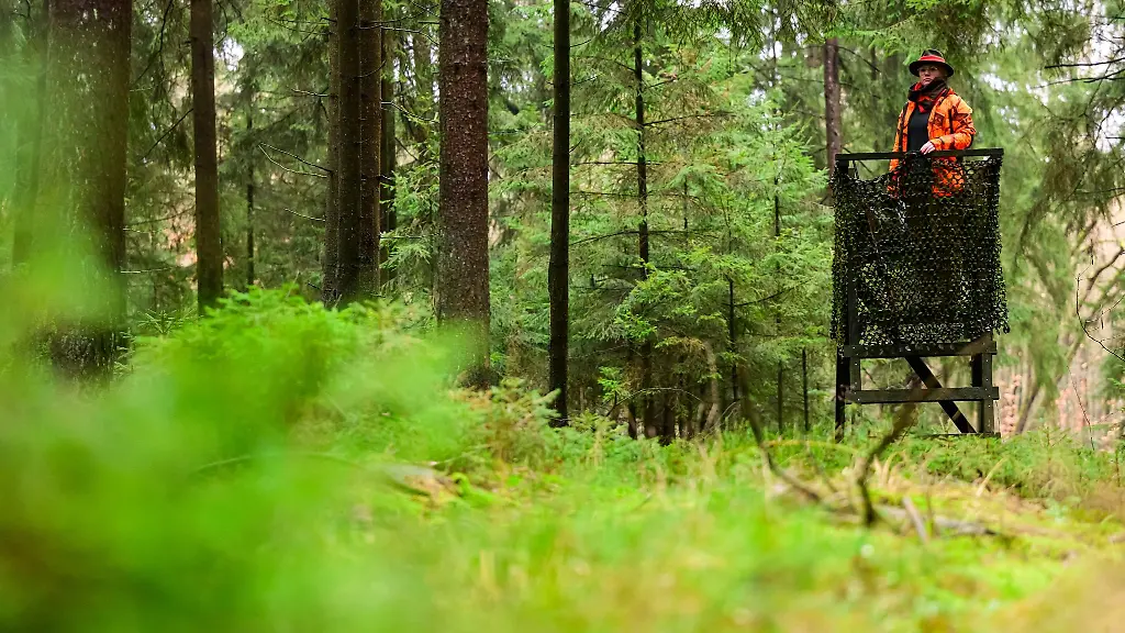Anna-Madeleine-Lindenberg-Kuesel-Jaegerin-steht-vor-einer-Drueckjagd-auf-einem-Hochsitz