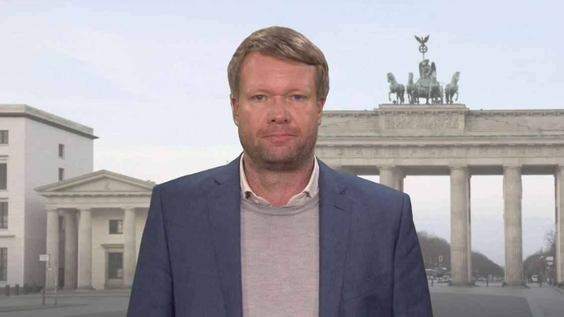 steinmann.JPG