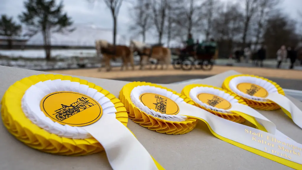 Ein-Gespann-faehrt-bei-der-Pferdepraemierung-anlaesslich-des-Kalten-Markts-an-Ehrenplaketten-vorbei