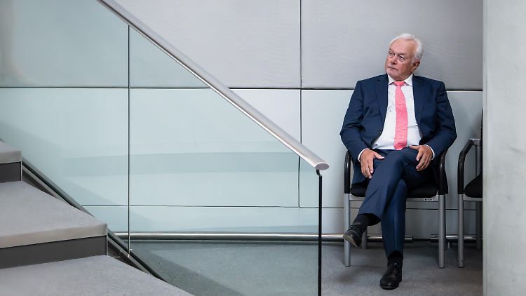 Als Bundestagsvizepräsident sollte Kubicki ein Vorbild sein, meinen SPD- und Grünen-Politiker. 