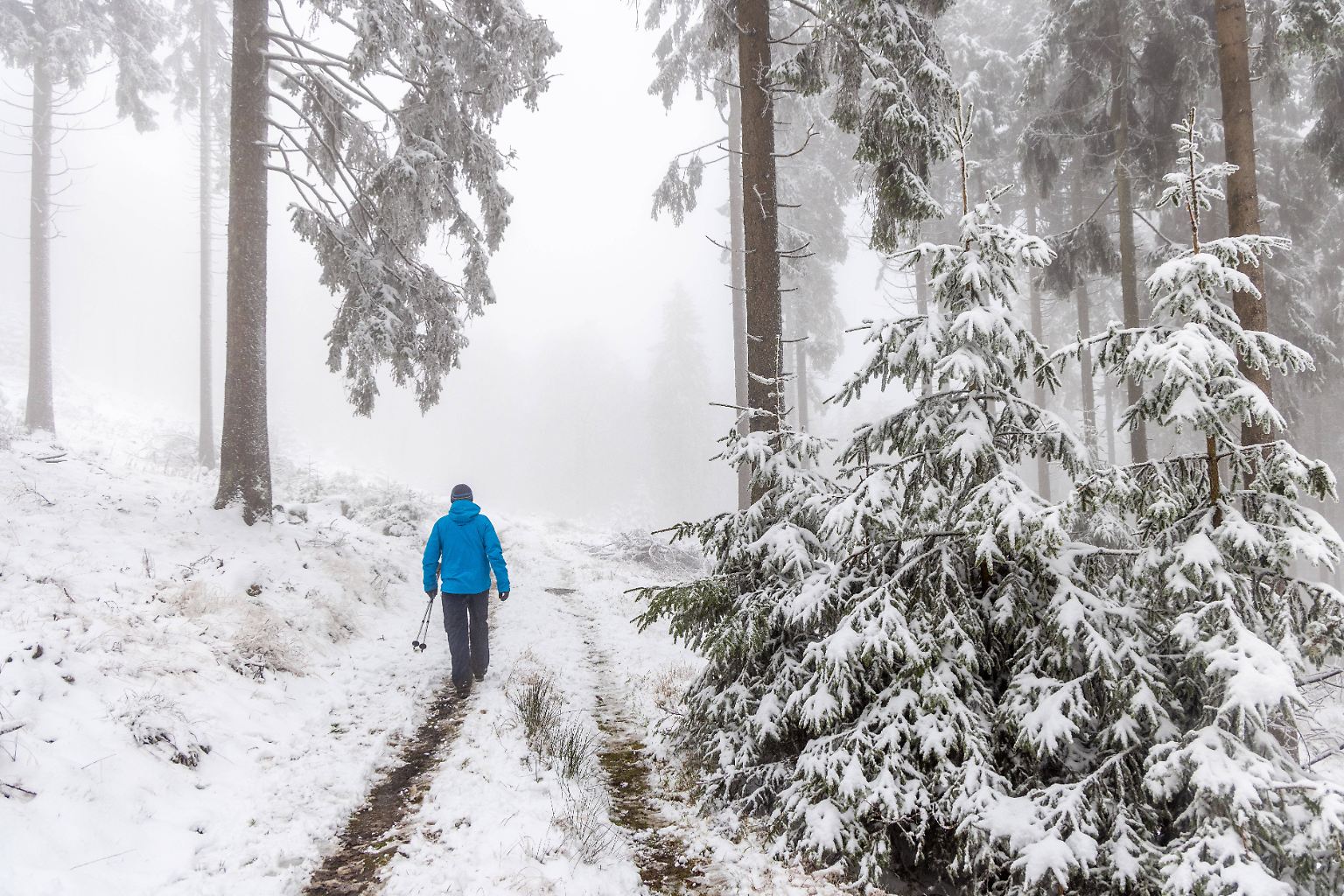 In einigen Regionen Deutschlands herrscht nach dem Wintereinbruch Chaos. Besonders betroffen ist Hessen. 