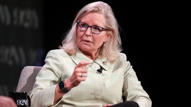 Cheney hat keine großen Erwartungen mehr an die eigene Partei.