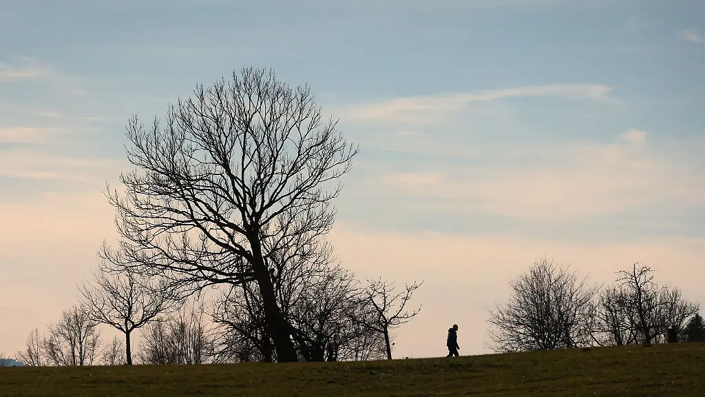 Ein-Spaziergaenger-geht-im-Sonnenschein-durch-eine-Allee
