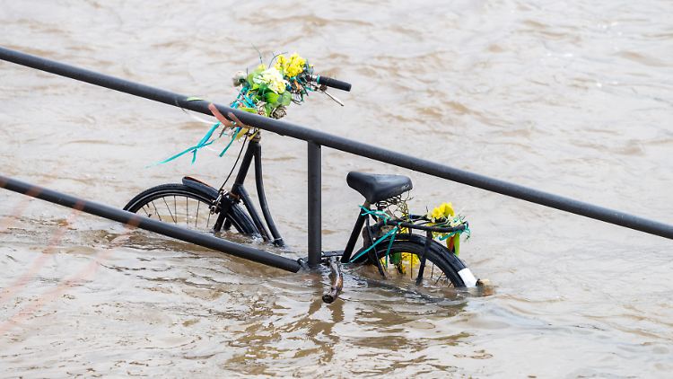 In Köln tritt der Rhein immer wieder über die Ufer.