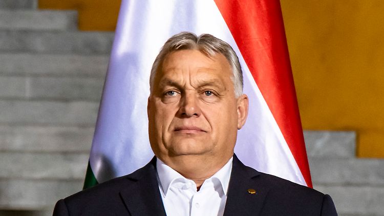 Mit Zuckerbrot und Peitsche: Einige Mitgliedsländer fühlen sich von Orban erpresst. 