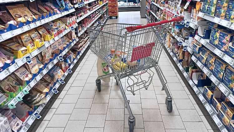 Wegen der rückläufigen Inflation will die FDP die zum 1. Januar geplante Bürgergelderhöhung überprüfen.