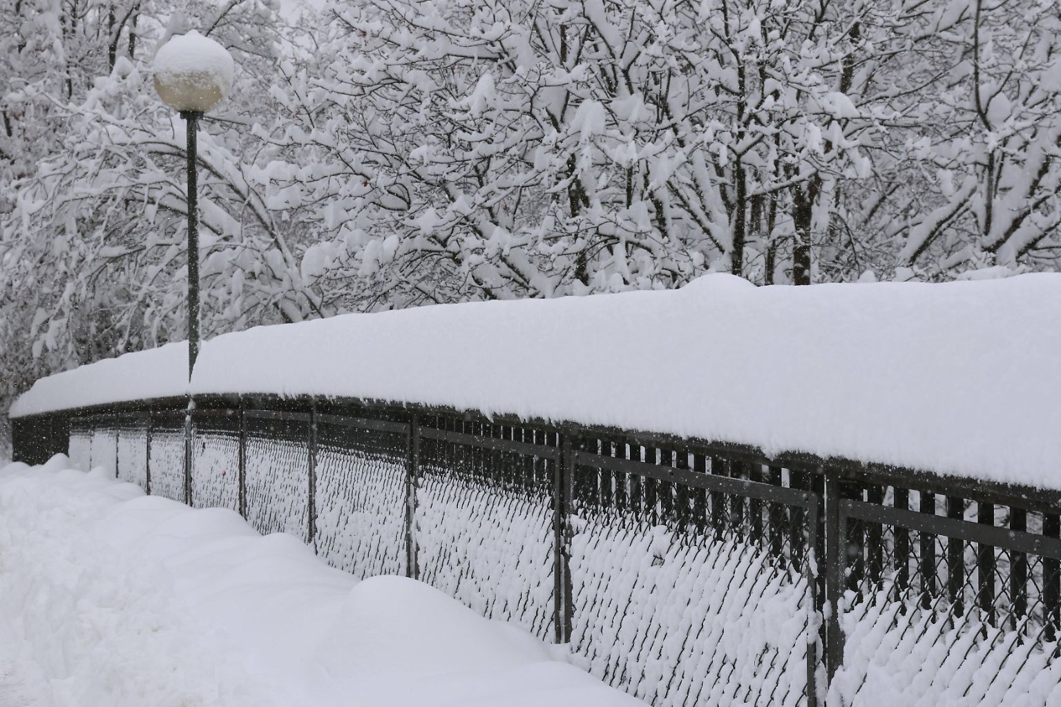 Bis zu 50 Zentimeter Neuschnee verzeichnet der Deutsche Wetterdienst in Süddeutschland.